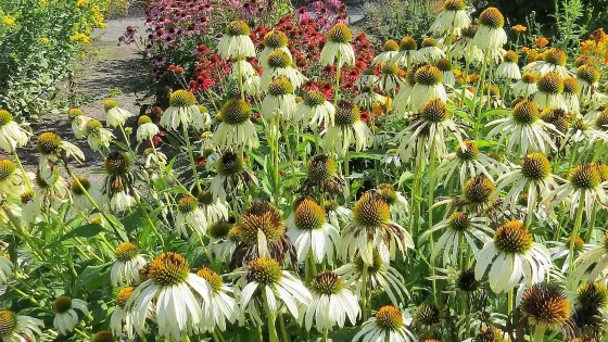 Jardin Botanique Roger Van den Hende