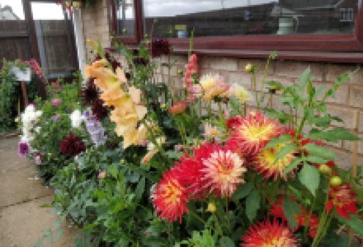 Froggery Cottage Garden景点图片