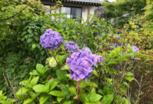 恵洪寺景点图片