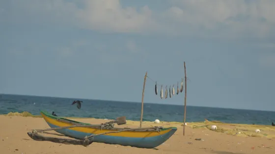 Kallady Beach