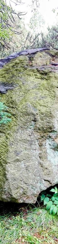 Alter Botanischer Garten-基尔