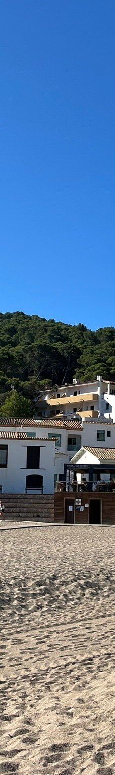 Playa Sa Riera-巴古尔