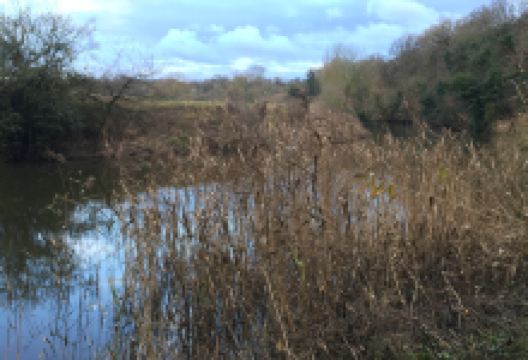 Owley Wood Rd景点图片