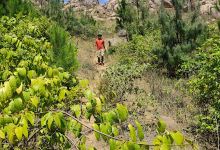 Dedza Mountain景点图片