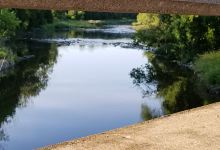 McDowell Tract - Grand River Conservation Authority景点图片