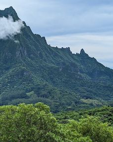 Belvédère du Tahara'a-大溪地