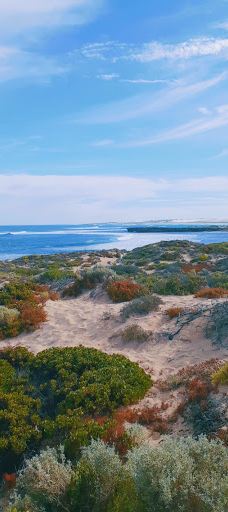 麦克唐纳尔湖-皮农