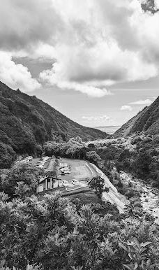 West Maui Forest Reserve-茂宜县