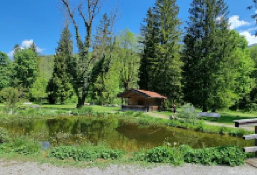 Kurpark Kreuth景点图片