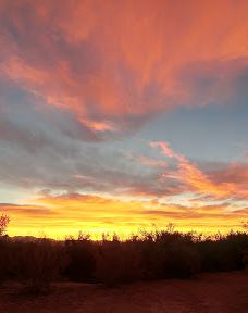 Big Bend of the Colorado-拉芙琳
