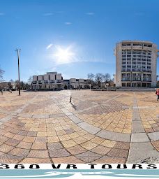 Art Gallery-多布里奇