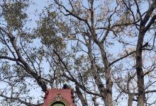 Muthyalamma Temple景点图片