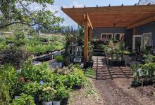 Winderberry and Edibles Farm+Cafe+Catering购物图片