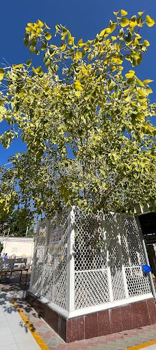 Sri Krishna Temple, Muscat, Oman-马斯喀特