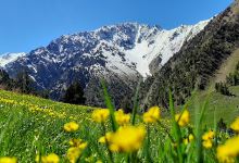 Alay, Bulolu Ayyly景点图片