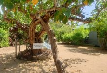 Nimalawa Meditation Center景点图片