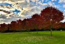 Sergeant Brad Crawford Park景点图片