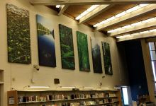 Baltimore County Public Library - Rosedale Branch景点图片