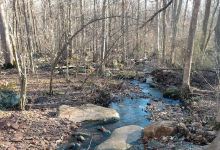 Hunterdon County Sourland Mountain Preserve景点图片