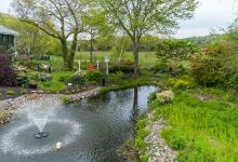 Kennedy's Country Gardens购物图片