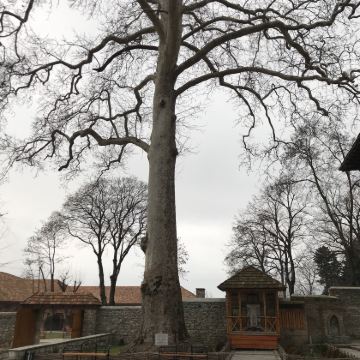 阿塞拜疆+亚美尼亚+格鲁吉亚14日13晚自由行