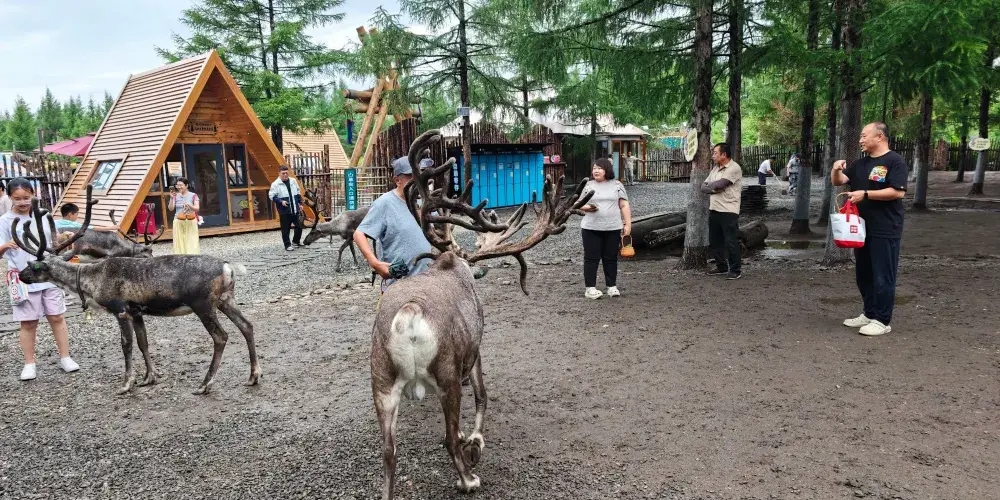 永安旅遊