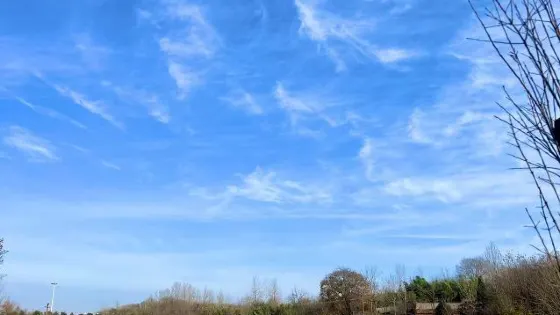 甜蜜時光中華蜂繁育基地