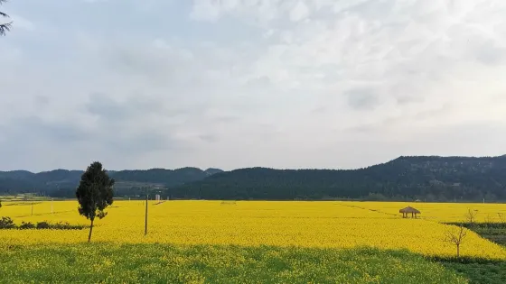 鴨鶴巖風景區