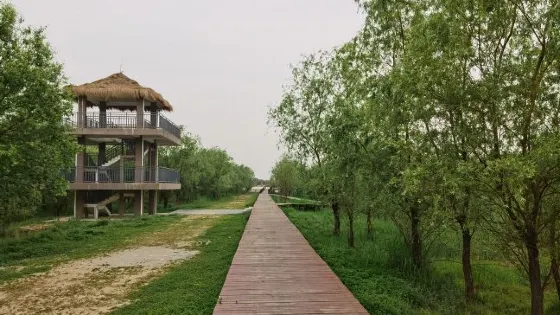 馬尾河濕地公園