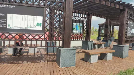 黑龍江安達古大湖國家濕地公園