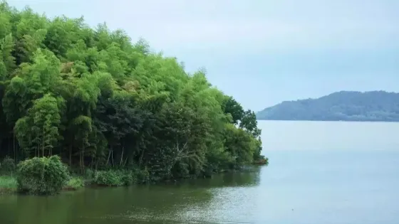 珍湖國家濕地公園