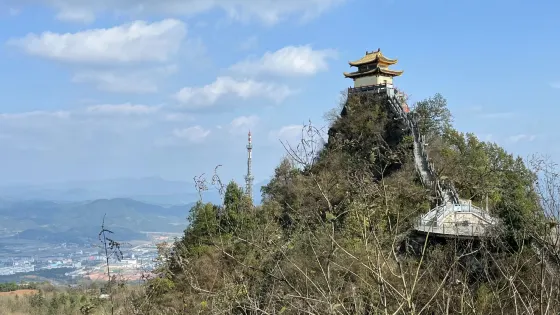 飛山聖宮