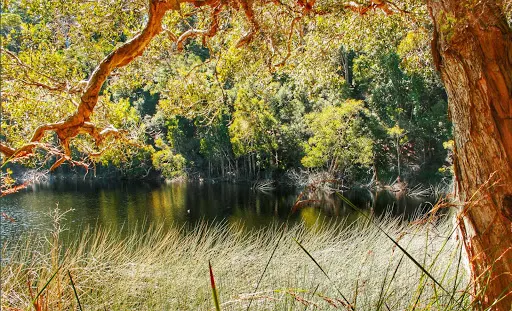 Lake Allom