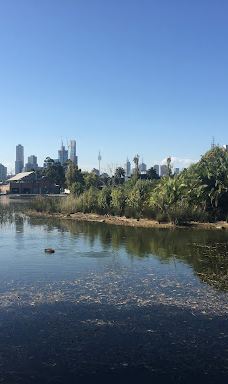 Albert Park-米德尔斯堡