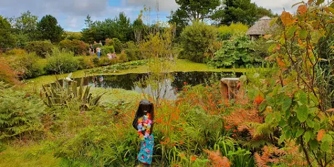 Tanglewood Wild Garden