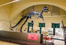 Civic Museum of Natural Sciences in Bergamo景点图片