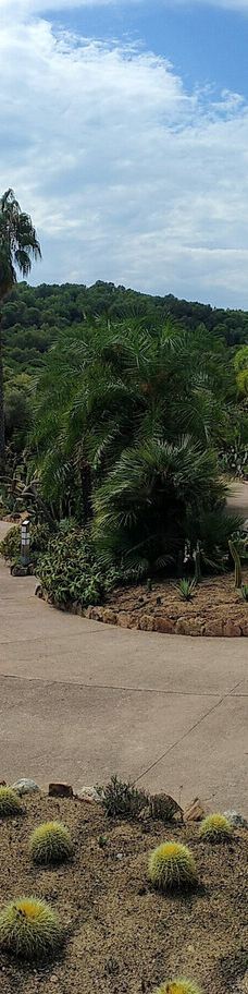 Jardí Botànic Tropical Paratge Pinya de Rosa-布拉内斯