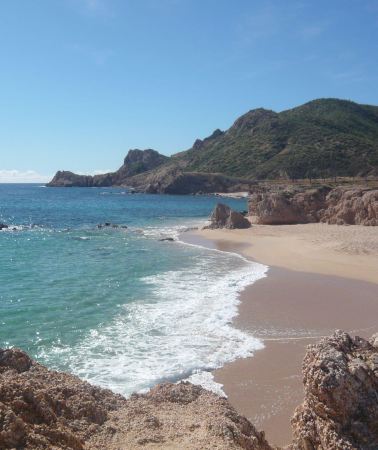 2天 • 墨西哥洛斯卡沃斯Santa Maria Bay＋Chileno Bay浮潛