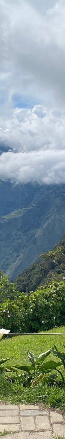 La Casa del Arbol-巴尼奥斯县