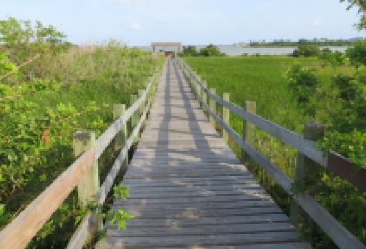 Hans A. Suter Wildlife Area景点图片