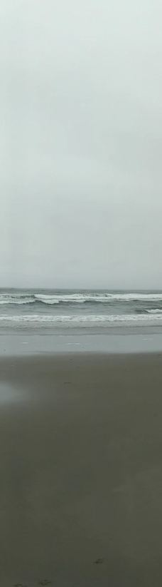 South Beach State Park-纽波特