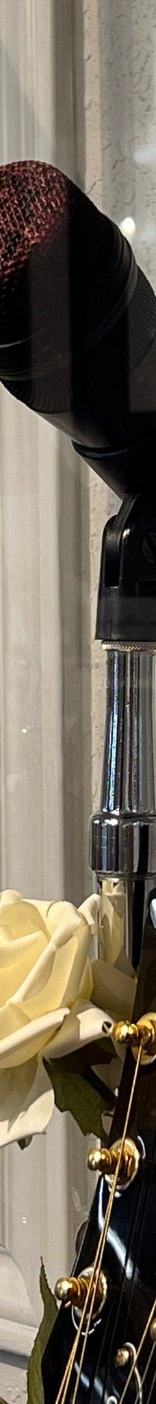 Selena Museum-科珀斯克里斯蒂