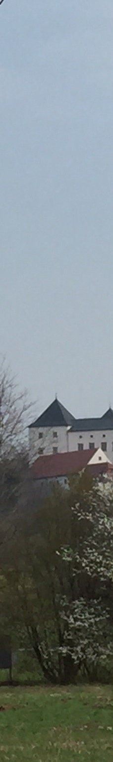 Bauernhaus-Museum Wolfegg-沃尔夫埃格