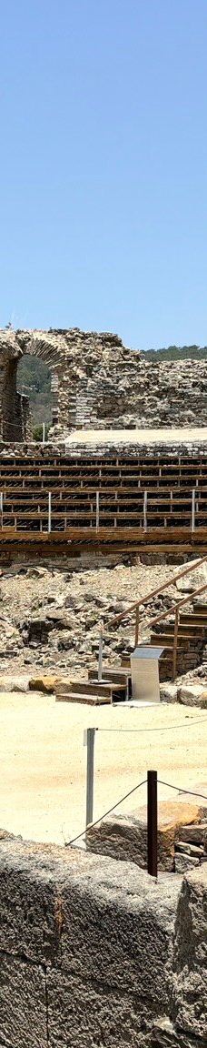 巴埃洛克劳狄亚-塔里法