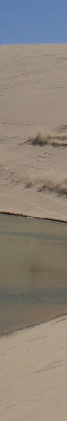 Sandland Adventures Inc-雷恩县