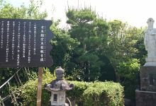 郡山金魚資料館景点图片