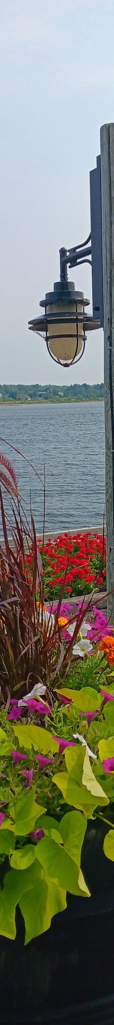 Ritchie Wharf-米罗米奇