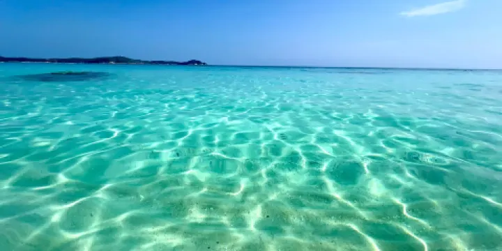 Turtle Sanctuary Beach