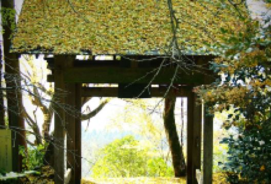 戒场神社景点图片