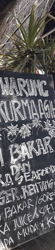 Kurma Asih Sea Turtle Conservation Center-巴厘岛